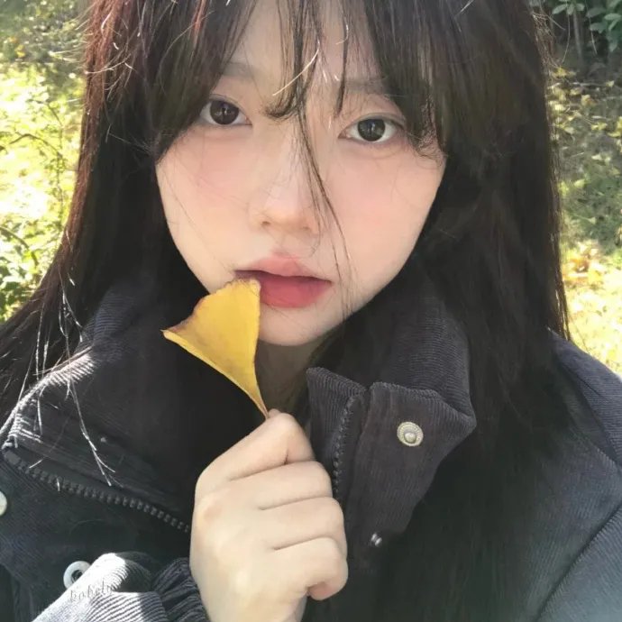寻找爱丽丝吉