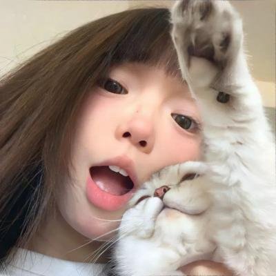 恋爱吧,寨主